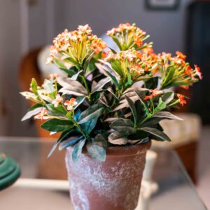 Faux Potted Plant in Rustic Clay Pot – 9”