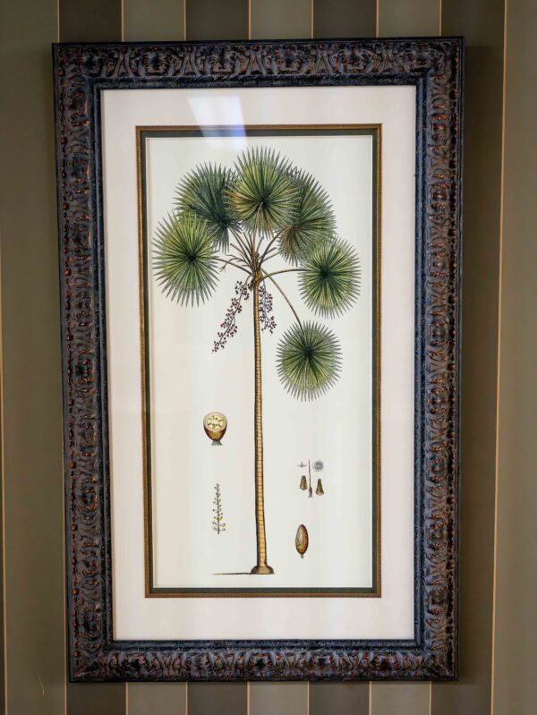 Ethan Allen “Botanical Palm Tree Set” – Framed Pair - Image 2