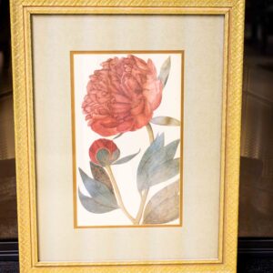 Ethan Allen “Red Bloom Botanical” – Framed Floral Print