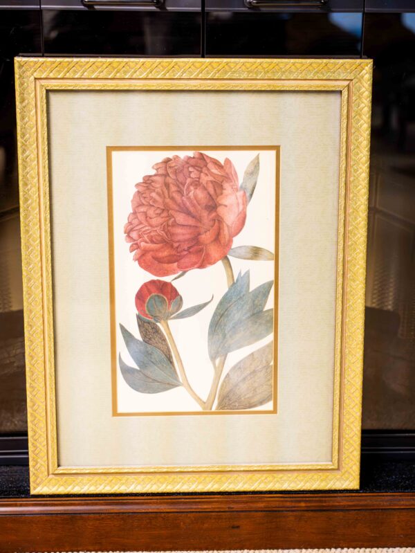 Ethan Allen “Red Bloom Botanical” – Framed Floral Print