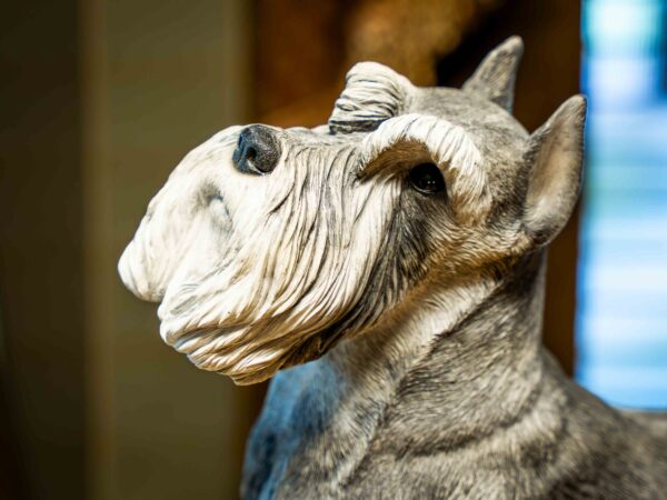 Sandi-Cast Schnauzer Statue – Gray (Model J-456) - Image 2