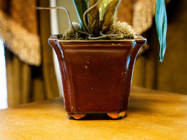 Floral Decor - Image 2
