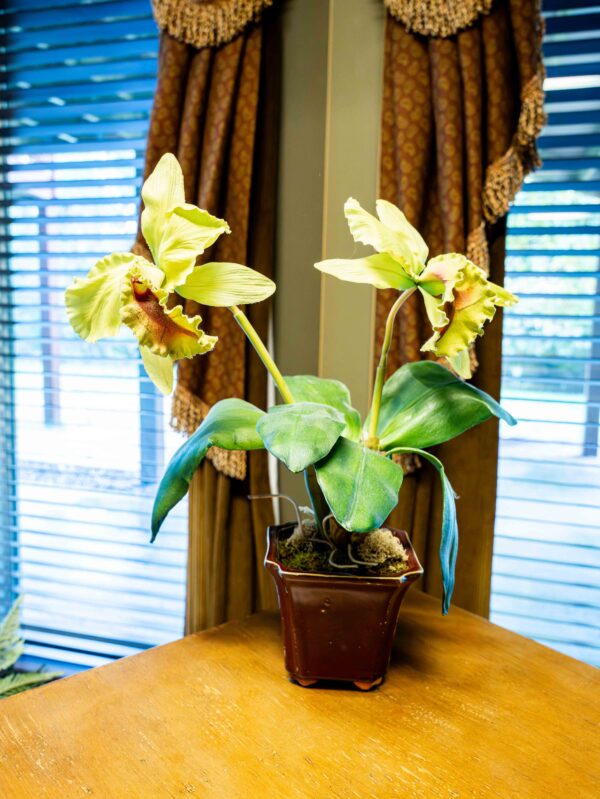 Floral Decor