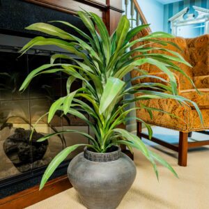 Ethan Allen Greenery In Black Vase