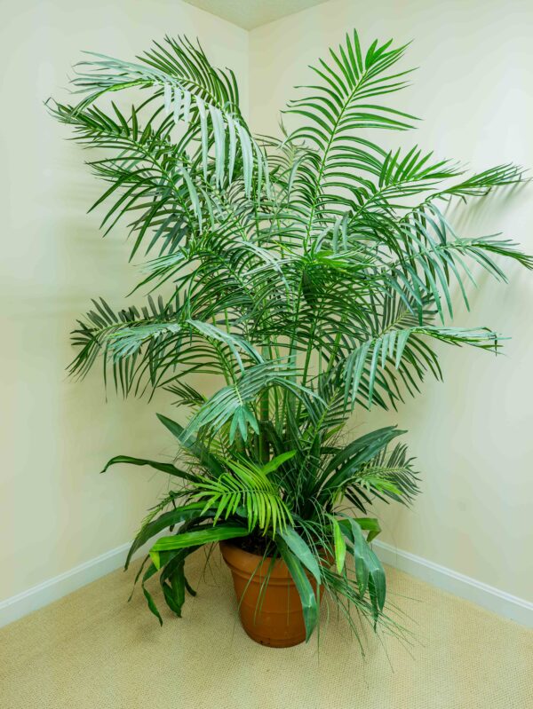 Faux Palm Plant