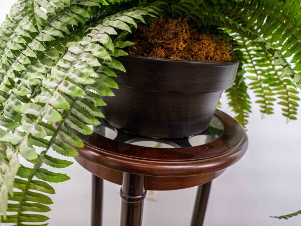Wooden Ethan Allen Pedestal Stand With Glass Top (Includes Ethan Allen Fern In Pot) - Image 3