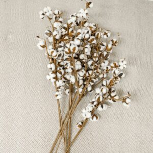Faux Pier 1 Cotton Plants (Set Of 8)