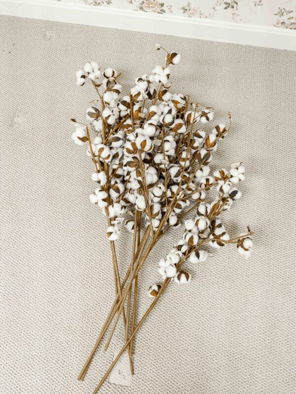 Faux Pier 1 Cotton Plants (Set Of 8)