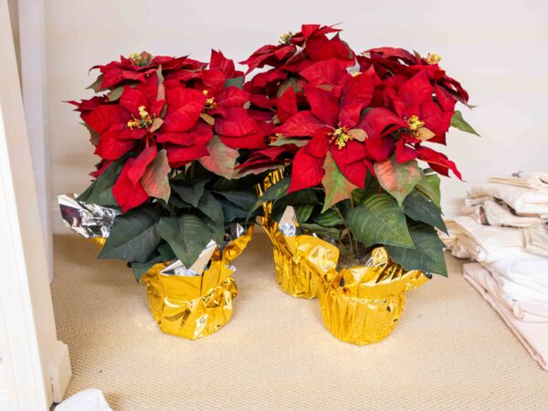 Lot Of 3 Faux Poinsettias