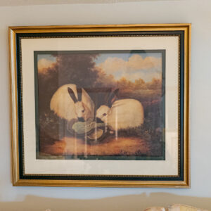 FRAMED RABBIT PICTURE