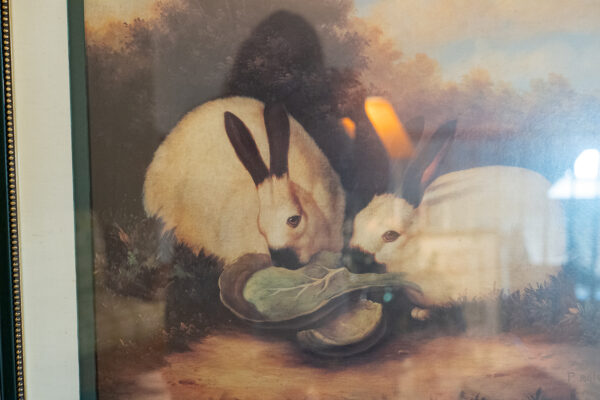 FRAMED RABBIT PICTURE - Image 3