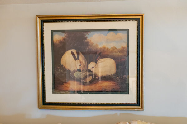 FRAMED RABBIT PICTURE
