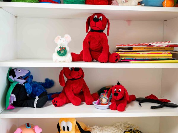 KIDS TOY LOT - Image 6