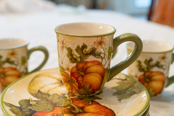 Pier 1 Imports Harvest Garden Dinnerware Set (6 Plates, 4 Mugs) - Image 4