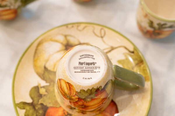 Pier 1 Imports Harvest Garden Dinnerware Set (6 Plates, 4 Mugs) - Image 6