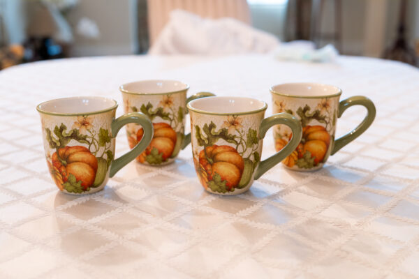 Pier 1 Imports Harvest Garden Dinnerware Set (6 Plates, 4 Mugs) - Image 5