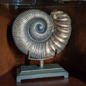 Decorative Ammonite Fossil Sculpture