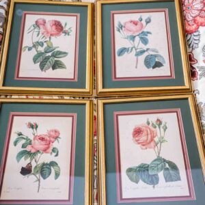 Pierre-Joseph Redouté Rose Botanical Prints